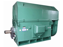 熊口管理区YKK系列高压电机