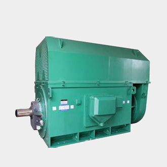 熊口管理区Y7104-4、4500KW方箱式高压电机标准